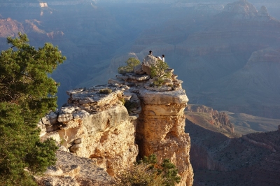Grand Canyon South Rim (Alexander Mirschel)  Copyright 
License Information available under 'Proof of Image Sources'